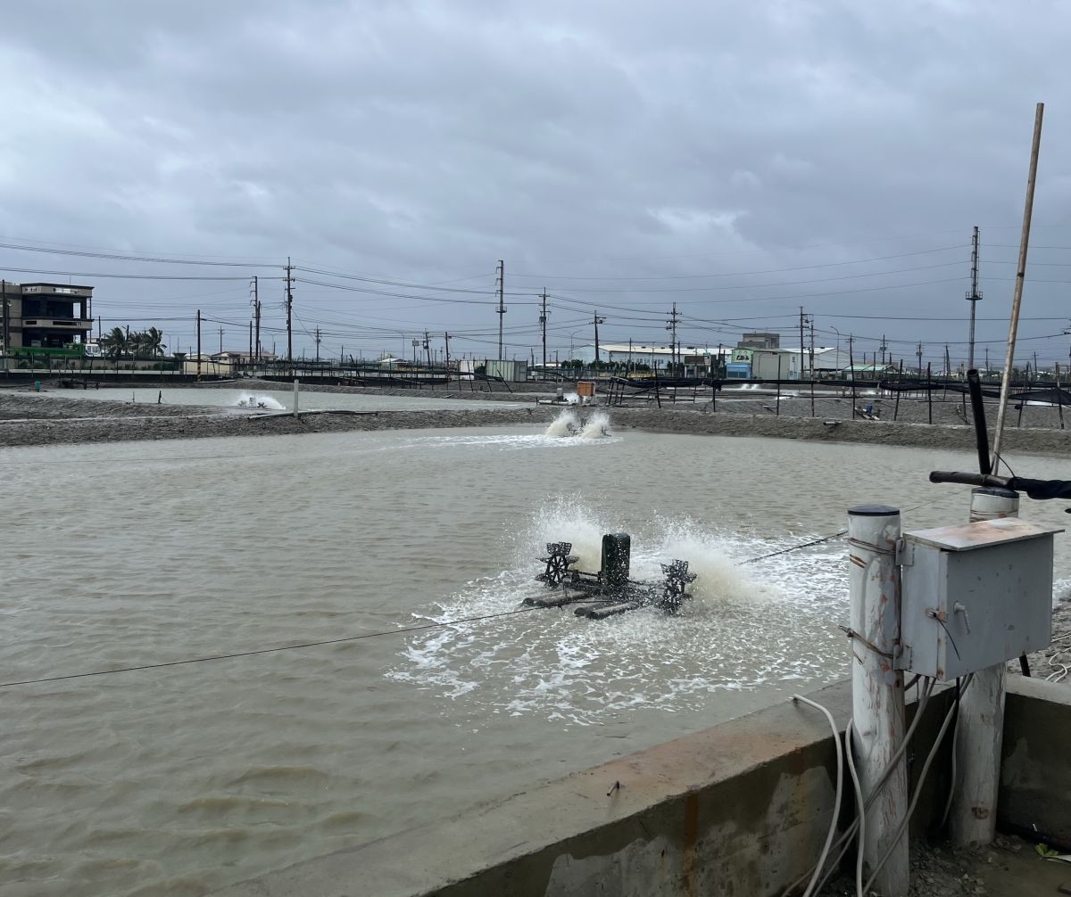 ▲寒流今起侵襲全台2天，農業部提醒農漁養殖業者須嚴防寒害。(圖／高雄市政府海洋局提供)