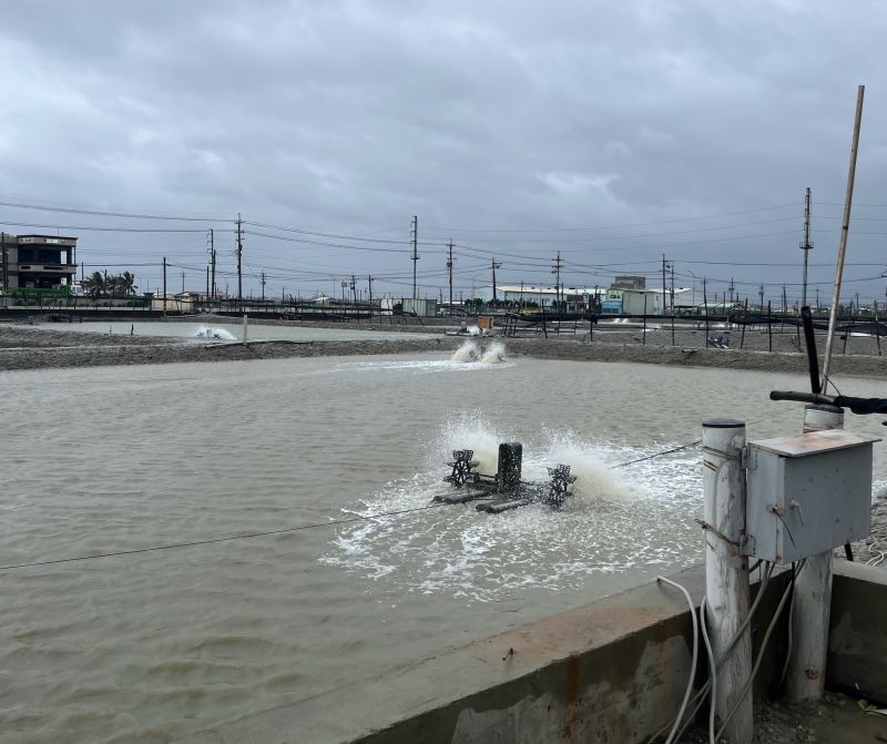 ▲寒流今起侵襲全台2天，農業部提醒農漁養殖業者須嚴防寒害。(圖／高雄市政府海洋局提供)