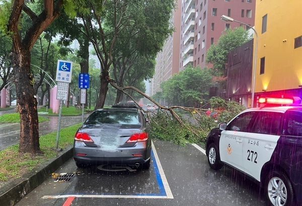 ▲台中市今（29）日午後發生大雷雨，意外造成北區太原路、梅川西路口一顆路樹倒塌。（圖／翻攝畫面）