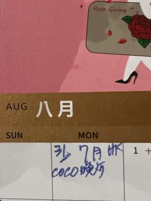 ▲甄妮在臉書分享行事曆，7月31號那格寫著：「7月HKcoco晚餐。」疑似本來要在當天和李玟一起共進晚餐，沒想到這次來香港卻是參加李玟喪禮，悲痛心情難以言喻。（圖／翻攝自甄妮臉書）