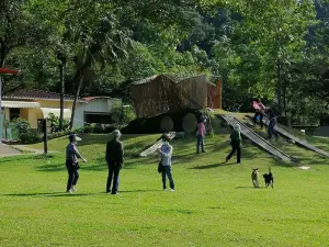 ▲中華醫大USR團隊協助楠西密枝社區以在地資源發展綠色經濟及社區藝術（圖／中華醫大提供）