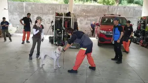 新北消防局與日本救助犬組織簽署MOU　接軌國際增加搜救量能
