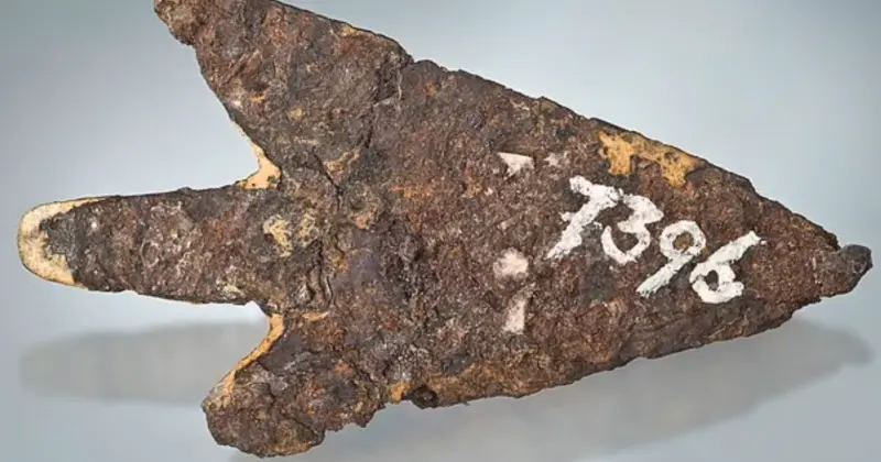 ▲在瑞士一處古青銅時代遺址發現的箭頭，成分包含外星隕鐵。（圖／翻攝自每日郵報）