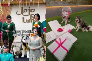 ▲名為Jojo的公犬和Luna的母犬有求婚儀式、五月的西方訂婚典禮和七月的傳統結婚儀式。（圖／翻攝自抖音）