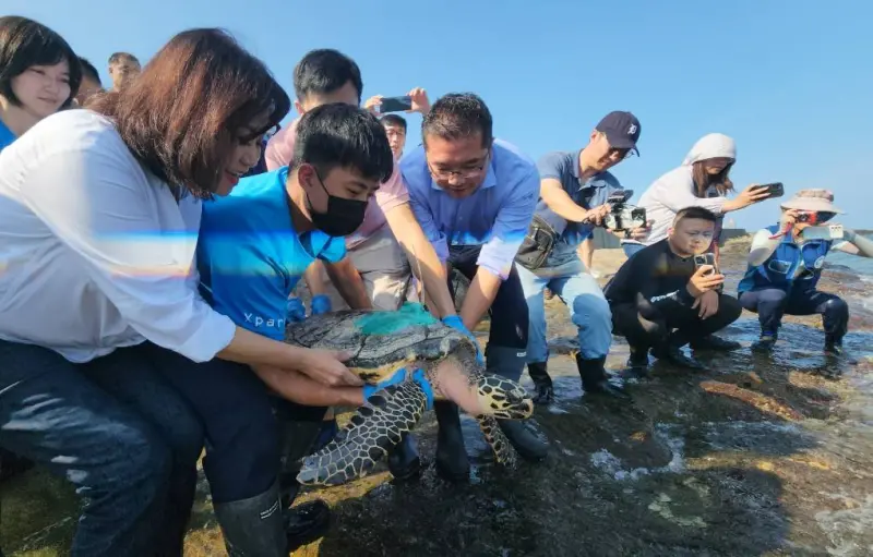 ▲基隆市副市長邱佩琳與相關團體共同到潮境保育區進行海龜玳瑁野放作業，一起為海洋盡心力。（圖 ／基隆市政府提供）