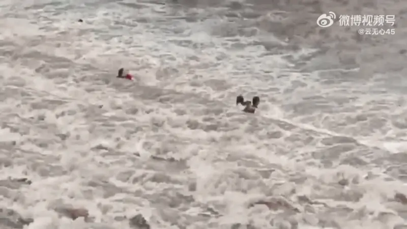 ▲中國四川省雅安雨城區魚鱗壩，今（9）日上午傳出因河水暴漲，導致多位遊客逃生不及，被水流沖走，目前已知至少有7人遇難。（圖／翻攝自微博）