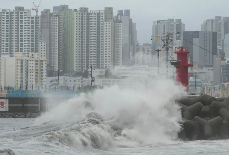 ▲卡努颱風10日上午9點多，在韓國慶尚道南海岸附近登陸。（圖／美聯社／達志影像）
