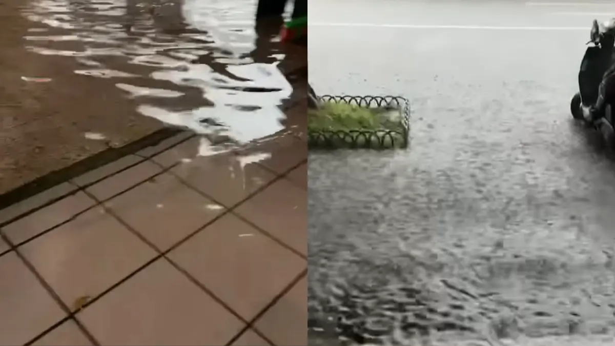 ▲民進黨立委何志偉稍早也在臉書上發出位於士林區的服務處門口，因為大雨而出現「小河」的現況。（圖／何志偉臉書）