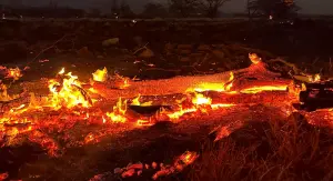 夏威夷野火釀58死　外交部：部分僑胞財產受損、人身安全無虞
