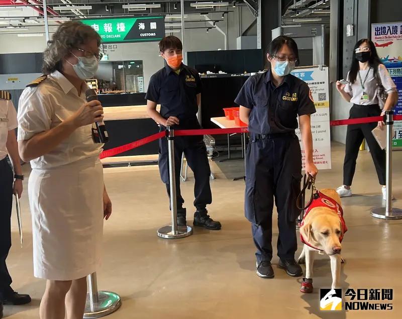 ▲台灣海關緝毒犬養成難度最高，財政部關務署基隆關透露，10隻幼犬有7隻最後都會被淘汰，有些就轉為工作犬。（圖／記者顏真真攝）