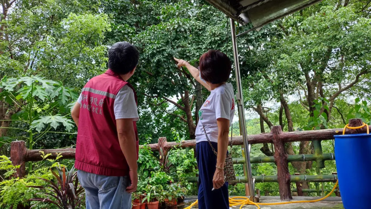 ▲民眾通報森林樹上一直傳來喵喵叫聲疑似貓咪受困，趕往救援發現原來是愛學貓叫的台灣特有亞種「紅嘴黑鵯」。（圖 ／新北市政府動物保護防疫處提供）