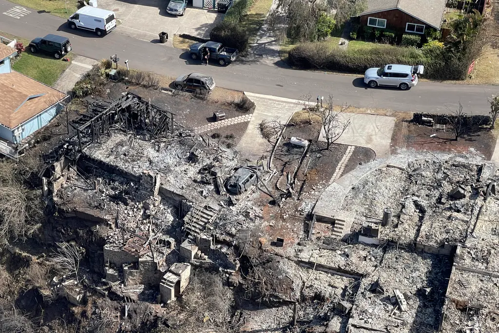 ▲美國夏威夷州的野火，最新統計已造成至少80人不幸喪生，經濟損失難以估計。（圖／美聯社／達志影像）