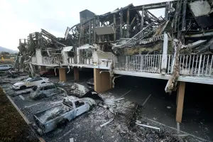 先別來了！夏威夷野火已93死　茂宜島加強疏散遊客、飯店收容災民
