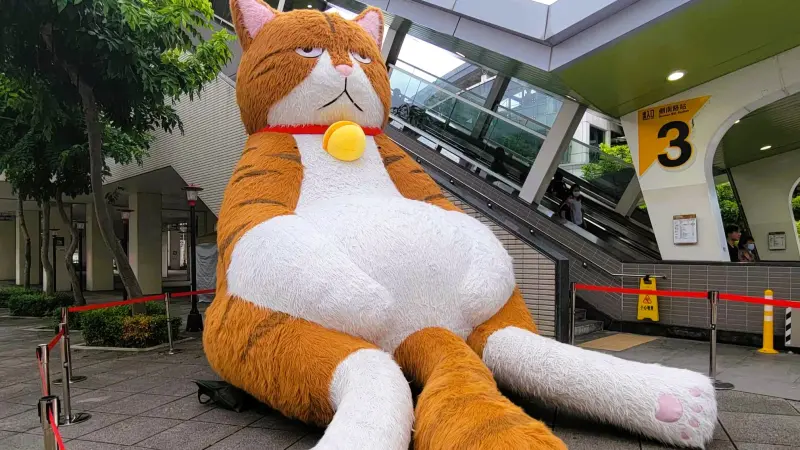 捷運站驚見「巨大厭世橘貓」！大叔坐姿超圈粉　出沒地點時間公開