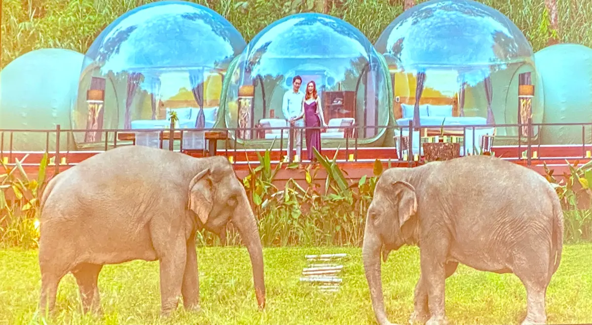 ▲全球第20大飯店集團，美諾集團（Minor Hotels）宣告今年著重拓展歐洲和亞洲市場，在泰國打造雨林泡泡房與大象同住、馬爾地夫蜜月最新五星酒店、在越南重溫豪華火車旅行等。（圖／記者蕭涵云翻攝）