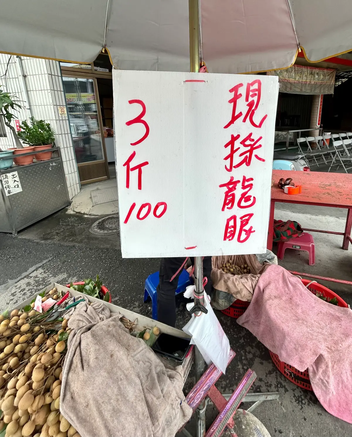 ▲霧峰龍眼豐收，但市面價格滑落，農友紛紛叫苦(圖／李天生提供2023.8.16)