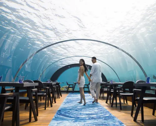 ▲王陽明（右）曾包下馬爾地夫海底餐廳，替蔡詩芸慶生。（圖／翻攝自王陽明Instagram）