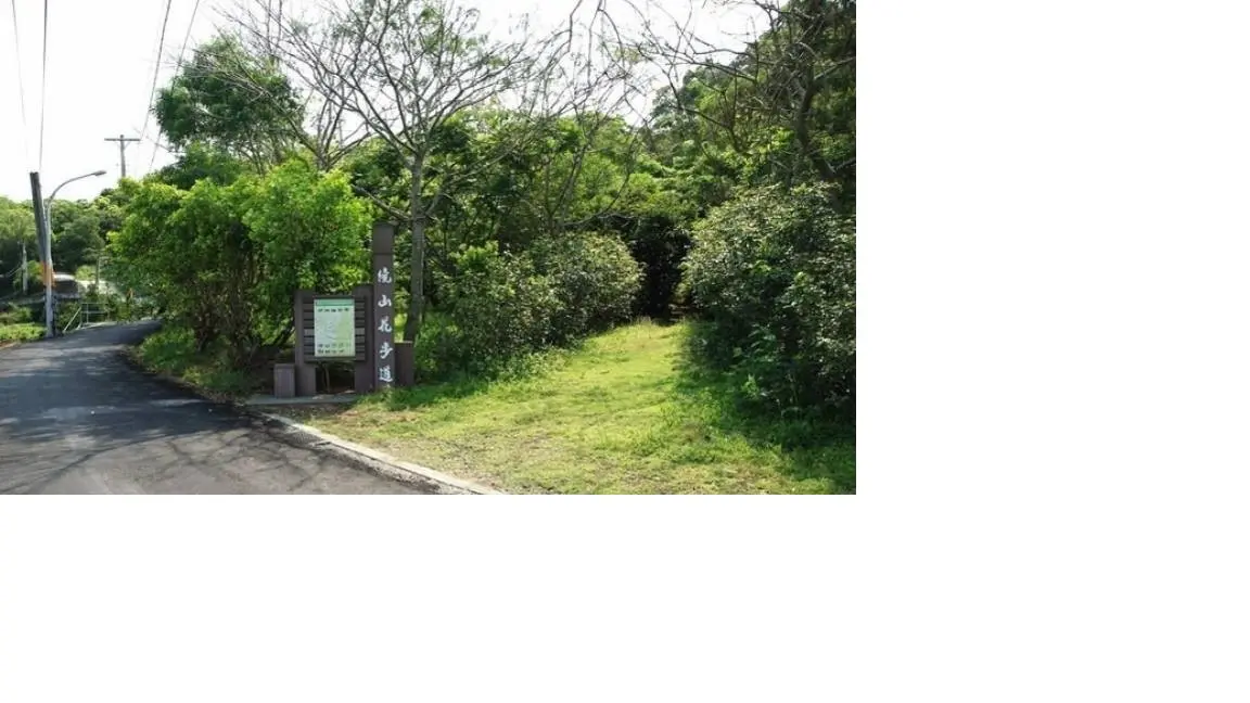 ▲頭份市鹿廚坑繞山花賞桐步道。（圖／苗栗縣政府提供）