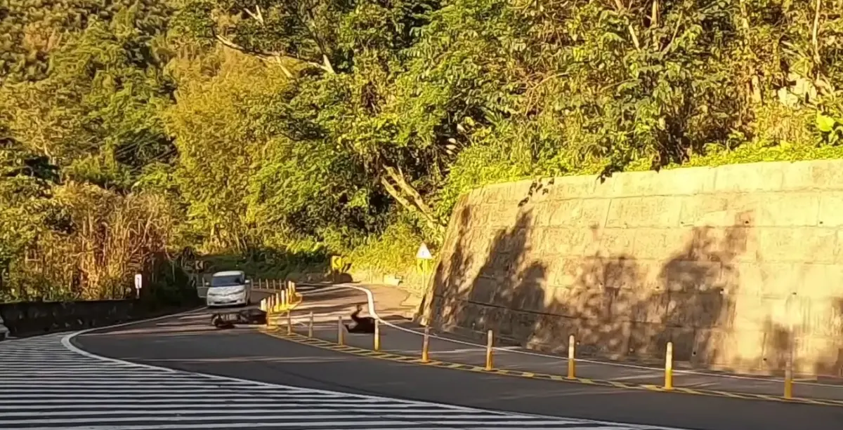 ▲在動畫《山道猴子的一生》爆紅之後，YouTube演算法推送了「台七乙各式外拋、極限翻滾大集合」的影片，紀錄不少摔車的瞬間。（圖/YT@CHE）