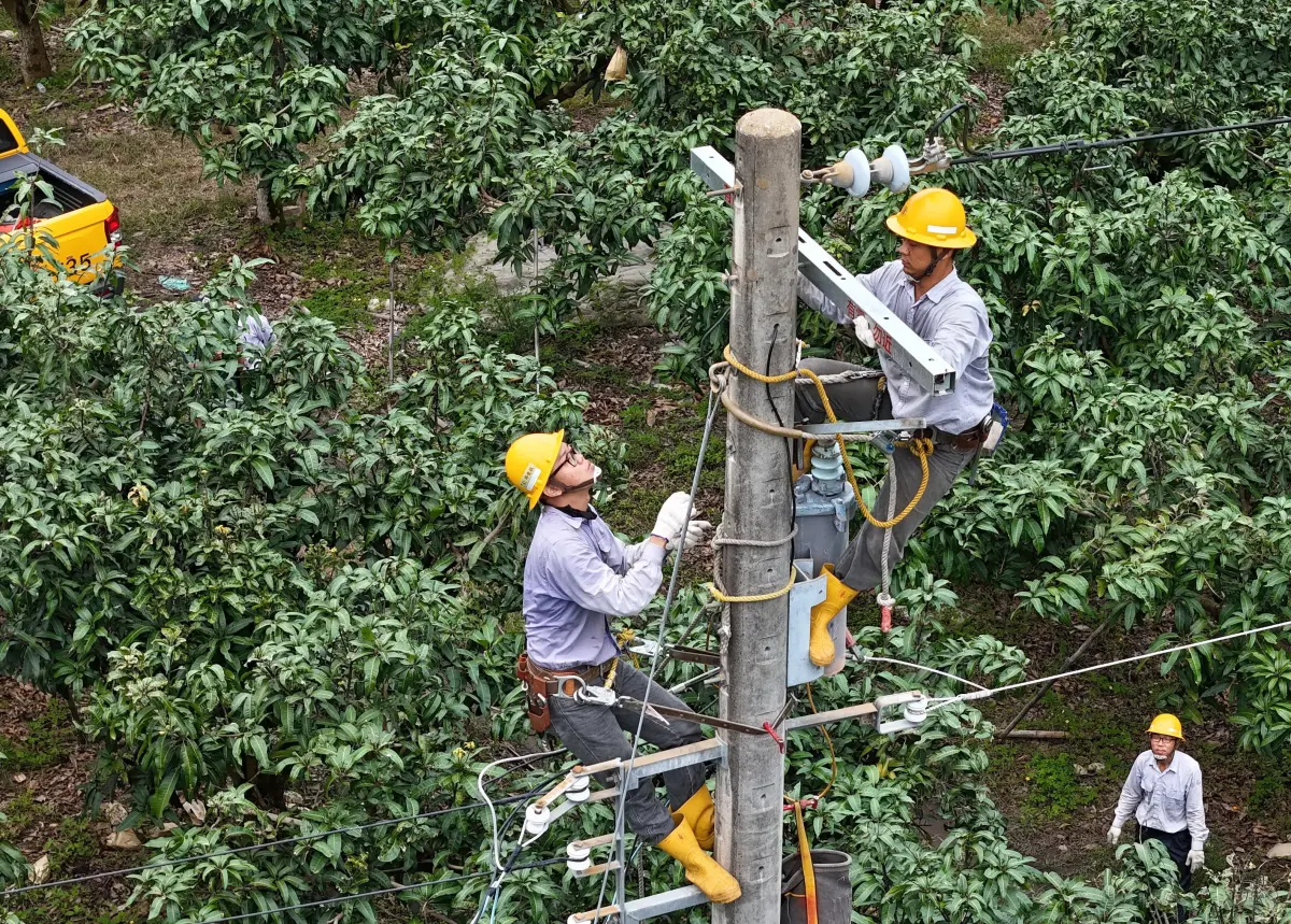▲台灣電力公司鳳山區營業處維修人員挺進桃源區進行大規模線路改善工程，以加強當地供電穩定。(圖／台電鳳山區營業處提供)