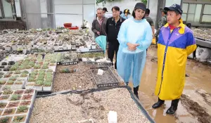 卡努風災南投31校受損 許淑華:緊急搶修中力拚下週如期開學 ▲許淑華日前勘查農業災損,圖為埔里鎮受災的多肉植物農場。(圖/南投縣政府提供,2023.08.21)