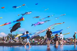 旗津風箏節6天吸20萬人次朝聖　熱氣球9月底升空接棒
