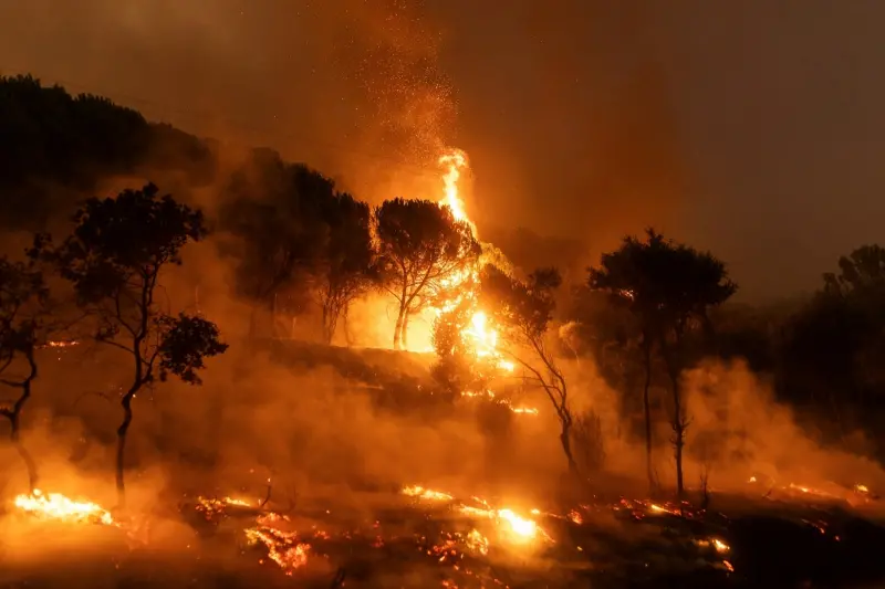 ▲歐洲聯盟執行委員會（European Commission）今天表示，希臘的森林火災已成為「有紀錄以來歐盟規模最大的野火」。（圖／美聯社／達志影像）