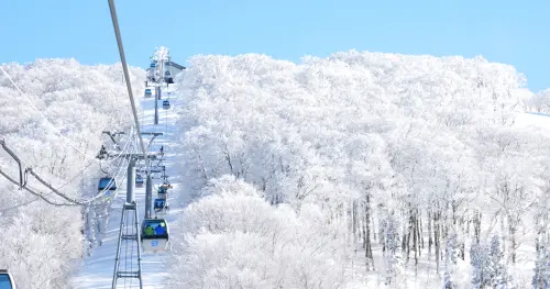 日本深度旅遊夯!燦星攜手虎航「直飛秋田」賞雪、樹冰12月免轉機 ▲日本二三線城市深度旅遊趨勢正熱,燦星旅遊攜手台灣虎航獨家包機「直飛秋田」,前往東北地區賞雪、探樹冰,爽吃秋田和牛、稻庭烏龍麵等在地美食,12月起免轉機。早鳥優惠最多送10000元。(圖/燦星旅遊提供)