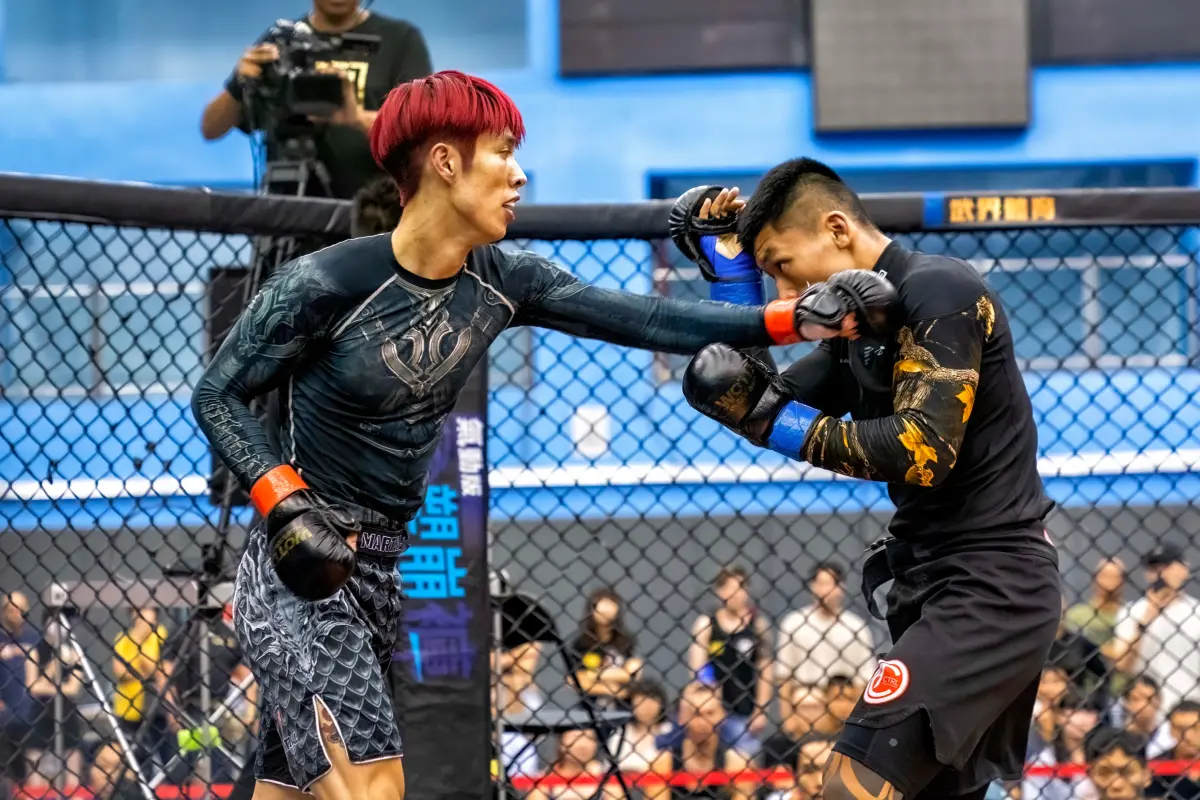 ▲「鬼殺隊隊長」李育昇在WOTD系列賽事創下8連勝。官方提供