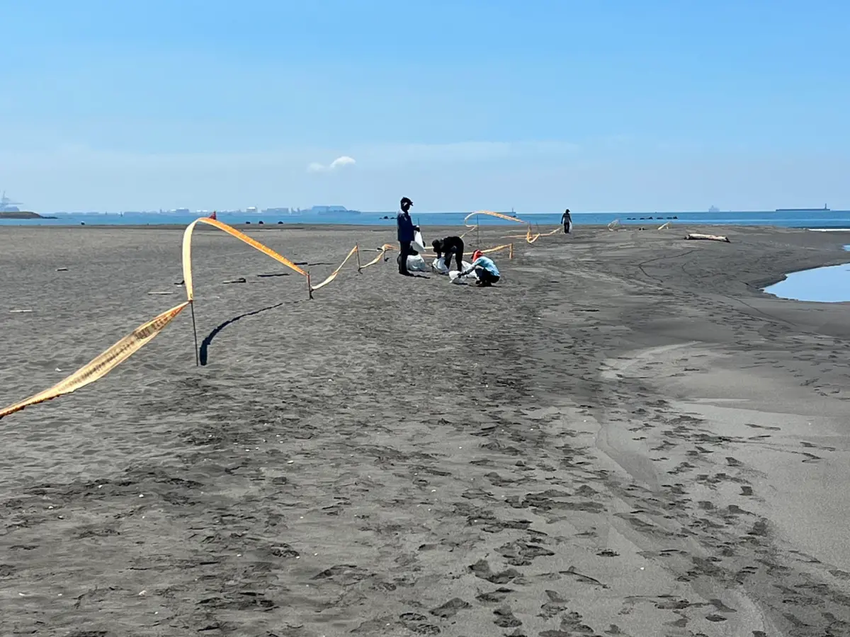 ▲港務公司持續派員於旗津沙灘現場巡視並清理。（圖／高雄港務分公司提供）