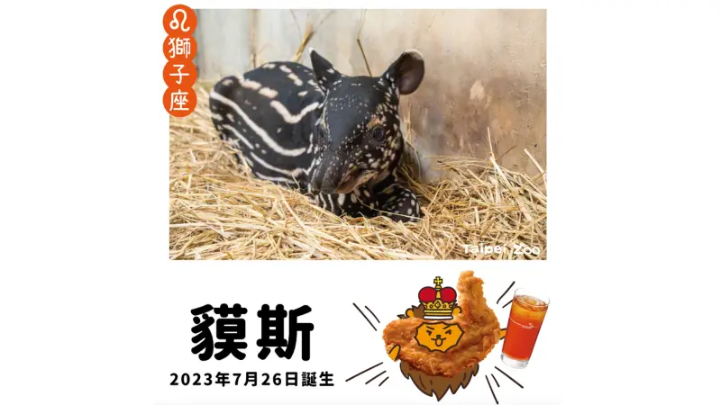 ▲台北市立動物園為馬來貘家族雄性寶寶舉辦命名活動，遭欽點的藝人柯佳嬿以《想見你》中施柏宇角色名同音「貘俊傑」響應。摩斯漢堡也毛遂自薦，卻遭粉絲歪樓「買一送一比較能吸引投票」。（圖／翻攝自摩斯漢堡FB）