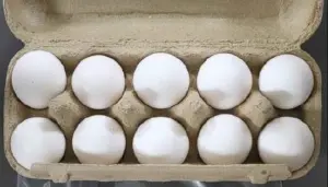 進口雞蛋又違規！53噸土耳其蛋退運銷毀　今年已第6次
