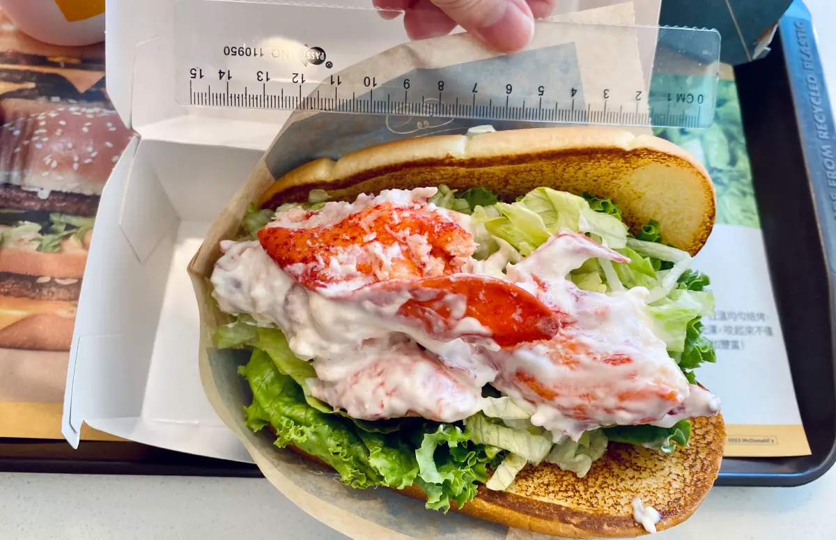 ▲台灣麥當勞將於8月30開賣史上最貴單點385元、經典套餐450元的「螯龍蝦堡」，更首度以極選限店、每日限量形式供應30萬份。開箱實測「螯龍蝦堡」，整顆堡尺寸足足有超過14cm。（圖／記者蕭涵云攝）