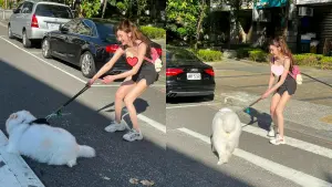 大狗懶躺斑馬線不走！細肩美女「彎腰狂拉」萬人重播　本尊神到了
