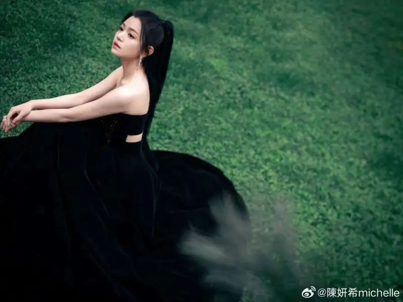 ▲陳妍希分享電影節紅毯戰袍，狀態不像40歲。（圖／翻攝自陳妍希微博）