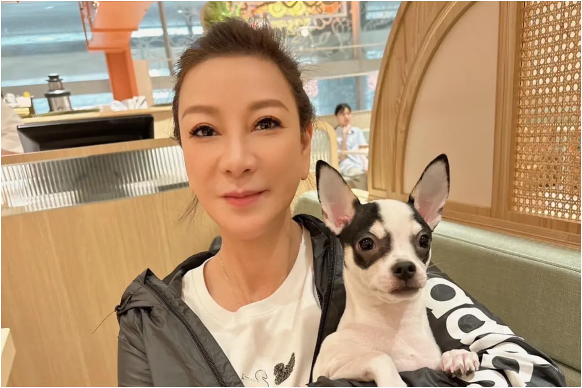 ▲楊繡惠狂被網友說老女人，氣到公布對方姓名資料，直呼「看看到底誰老」，要大家評評理。（圖 / 楊繡惠臉書）