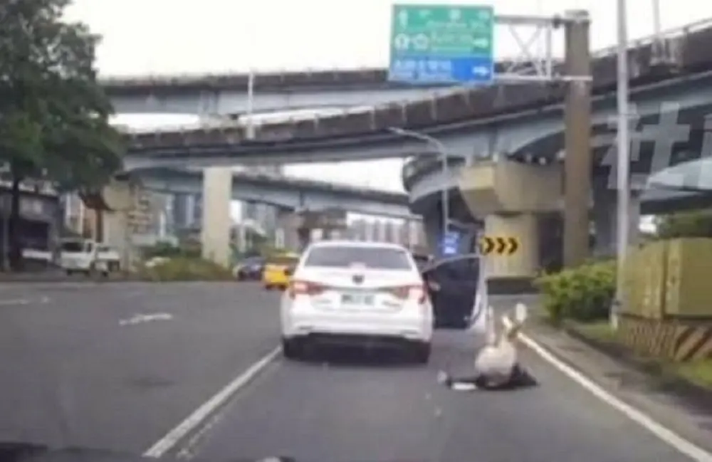 ▲高雄市左營區翠華路砸道口30日發生1起夫妻口角女跳車受傷事件，警方依法開罰500元。(圖／截自「社會事新聞影音」)