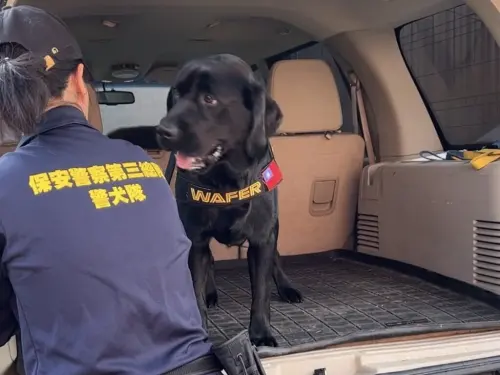 ▲台灣第一隻電子產品偵測犬Wafer（圖）與警政署保三總隊的領犬員在美國訓練，模擬車上搜尋證物。（駐洛杉磯辦事處/警政署提供）