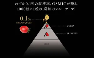 ▲「大女王級」小番茄收穫率僅0.1%的，25顆禮盒要價10800日圓（約新台幣2400元）。（圖／OSMIC FIRST官網）