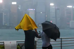 影／蘇拉過境香港擼倒一堆路樹　消防員鋸到暈倒送醫
