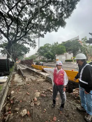 ▲林欽榮特別視察輕軌大順路沿線191株雨豆樹防颱加固情形。（圖／高市府捷運局提供）