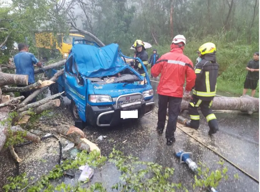 ▲海葵颱風持續侵台，花蓮縣卓溪鄉台30線9公里處，發生一起路樹倒塌、砸到貨車事故，林姓父子受困車內，所幸2人意識清楚，均被送往醫院治療。（圖／翻攝畫面）