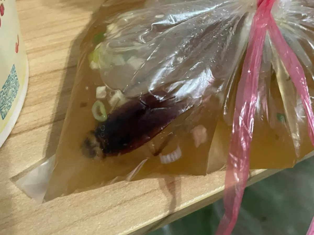 ▲網友爆料颱風天叫外送，未料宜蘭知名牛肉麵竟送來一大包加料超大隻蟑螂的湯，整隻有腳有鬚，不滿外送只賠65元。（圖／爆廢公社二館臉書）