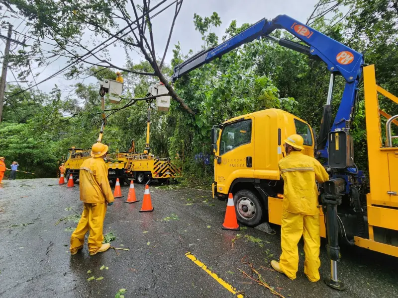 ▲高雄大社區因颱風影響導致樹木壓線，台電同仁昨（4）日於現場搶修。（圖／台電提供）