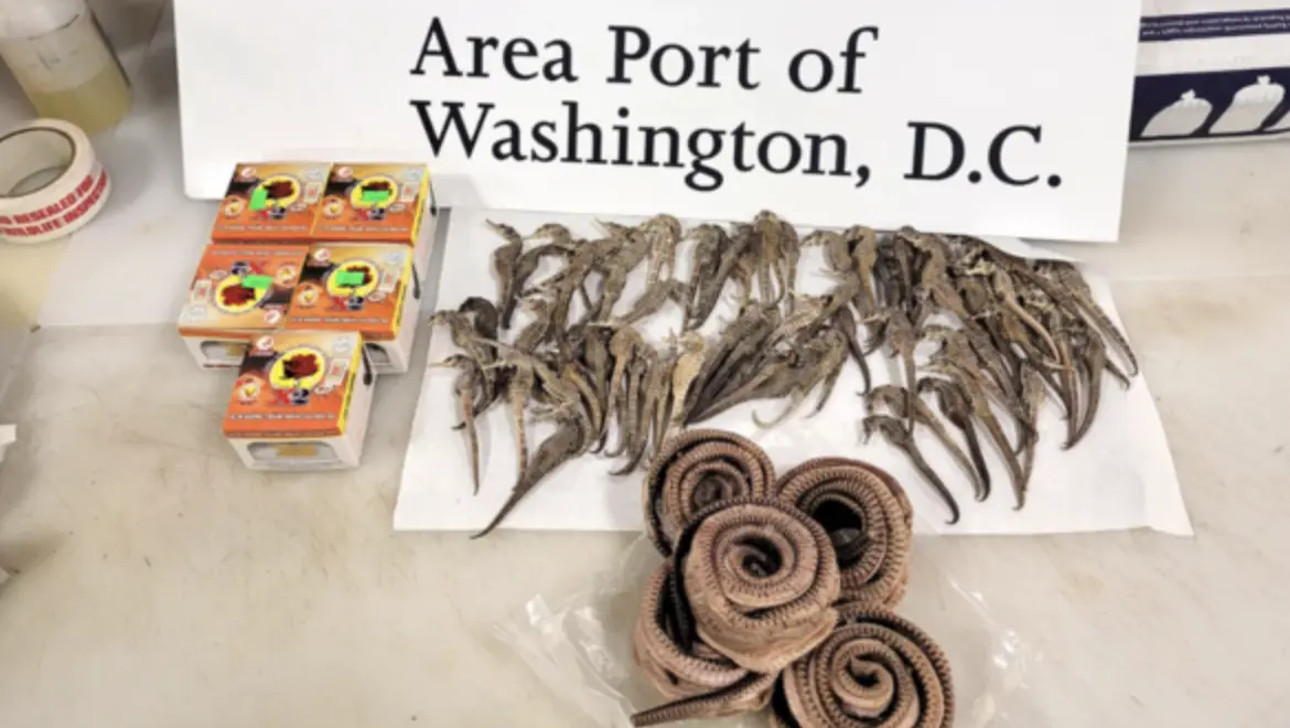 ▲2名越南旅客赴美攜帶超貴中藥，被海關沒收。（圖／翻攝自美國海關與邊境保護局）