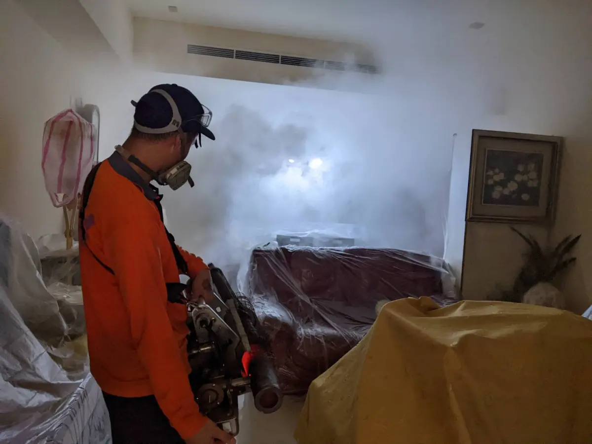 ▲新北市再增3例本土登革熱，市府於個案住家戶內外及住家周圍半徑50公尺逐戶入內孳清噴消。（圖／新北市政府衛生局提供）