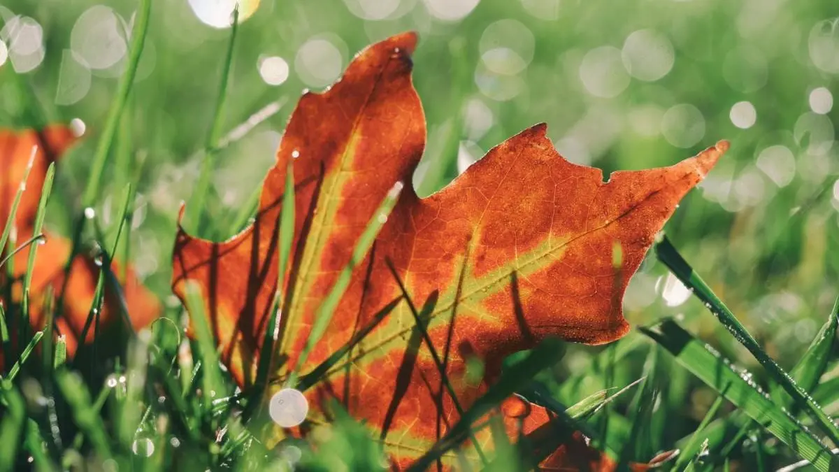 ▲9月8日周五是2023節氣節氣「白鹿」，3星座將遇貴人，而水逆結束後「13行業」大旺。（圖／資料照片）