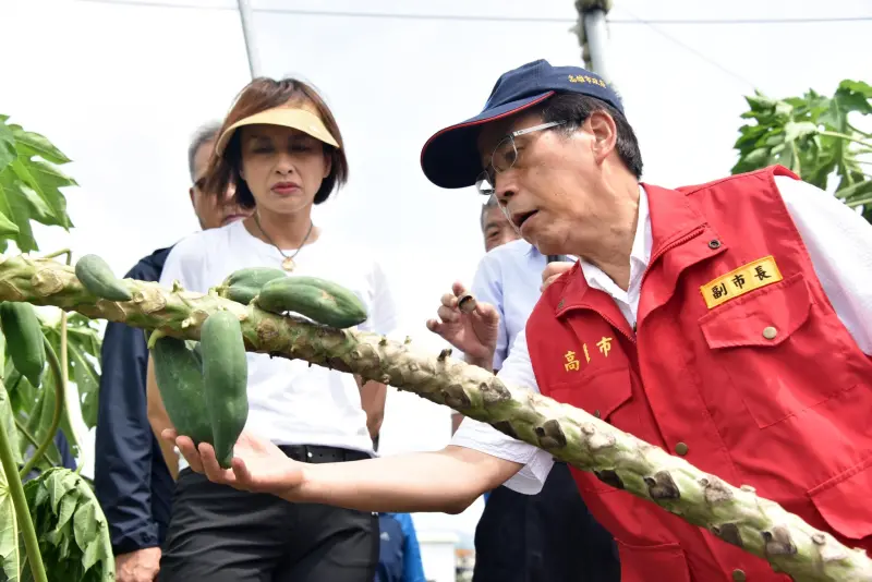 ▲副市長林欽榮今(5)日一早趕赴美濃關心農民災損情況。（圖／高市府提供）