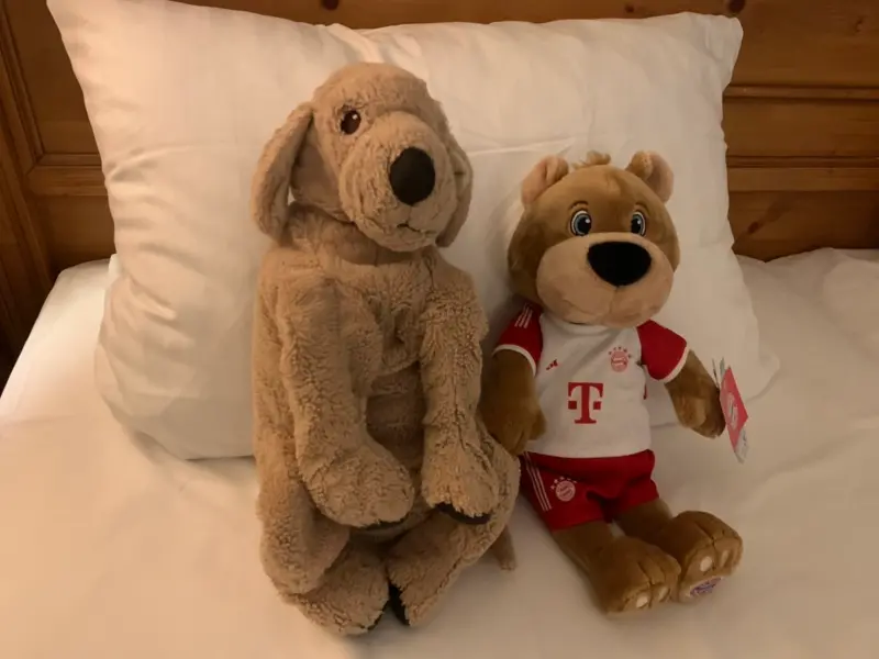 ▲林聖洋德國行還帶著愛犬玩偶「陪睡」，並添購新的小熊玩手。記者廖聿偉攝