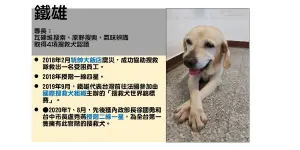 ▲搜救犬「鐵雄」退役，中市府為他找新主人。（圖／台中市消防局）